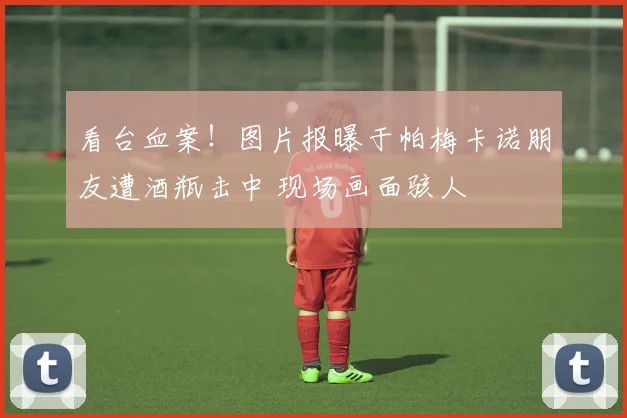 看台血案！图片报曝于帕梅卡诺朋友遭酒瓶击中 现场画面骇人
